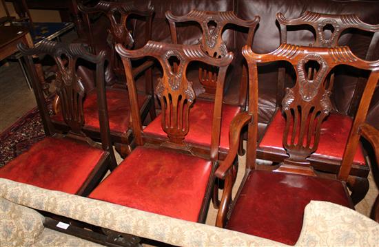 Set 6 Chippendale revival chairs